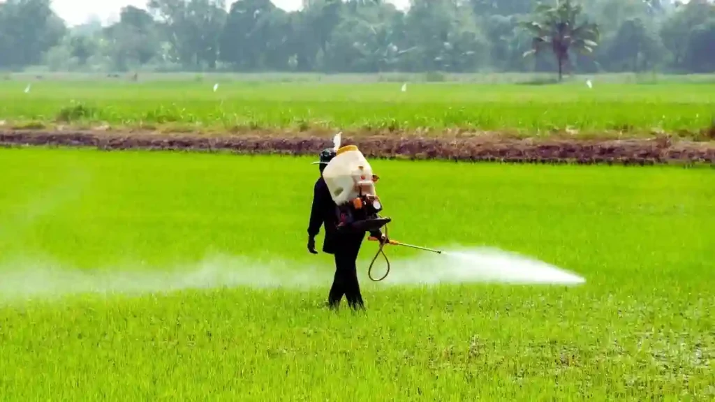 Pesticides ban Centre's reluctance to ban pesticides