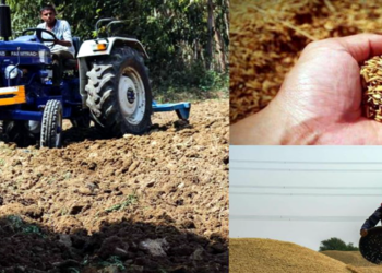 कृषी विधेयक बिल:शेतकरी विरोधी की सोबती?