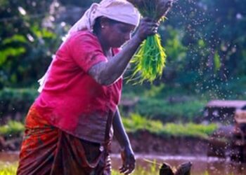 भारतीय कृषी व महिलांची भूमिका