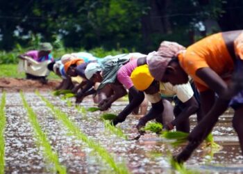 भारतीय कृषी व महिलांची भूमिका