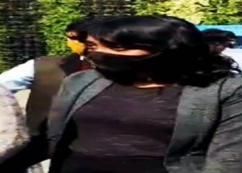 ‘टुलकिट’ प्रकरणी दिशा रवी या विद्यार्थिनीच्या अटके संदर्भात पी चिदंबरम यांची घणाघाती टीका