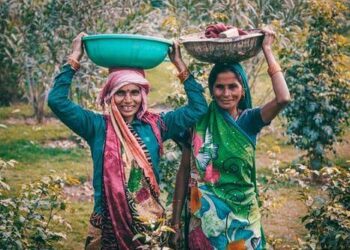 हिंदू स्त्रियांच्या मालमत्ता संदर्भात ; हिंदू कोड बिलाची पार्श्वभूमी भाग 2