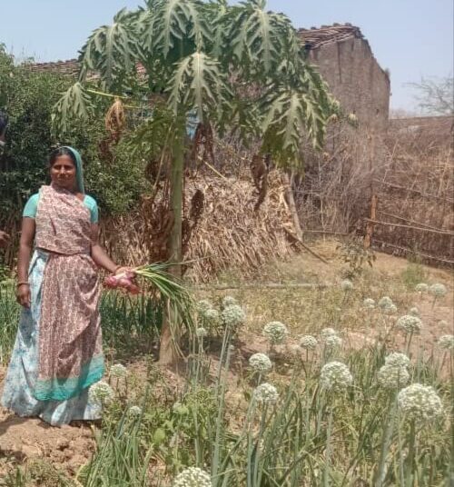 जैविक शेती- कांदा पिकाने आणले केसरबाई बामनिया च्या जिवनात आनंद अश्रू