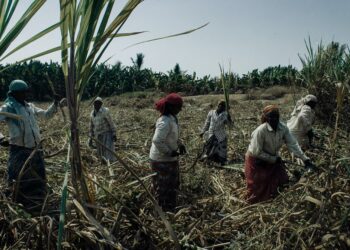 शेतमजुरांच्या आत्महत्या