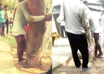 कानपूर दलित kanpur dalit youth beaten tying to a tree