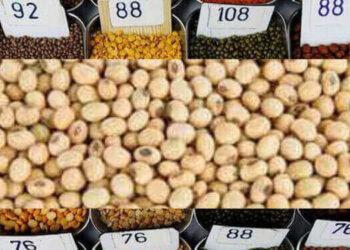 सोयाबीन soyabin