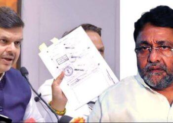 मलिक फडणवीस