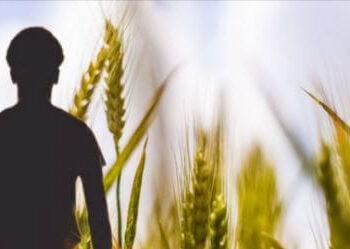 वाढणाऱ्या आत्महत्या