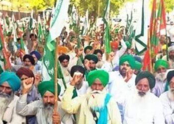 कृषी कायदे