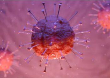 कोरोना मुळे 50 हजार