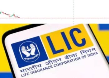 एलआयसी शेअर बाजार प्राइज a share price down on first day Investors were not happy