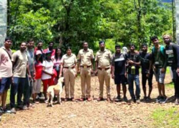 तरुणाई सामाजिक भान वृक्षारोपण Picnic trekking youth is also maintaining social consciousness