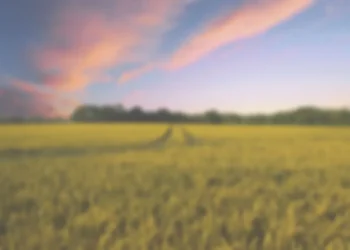 बहुराष्ट्रीय बियाणे कंपन्याच्या घश्यात घालण्याचे षडयंत्र