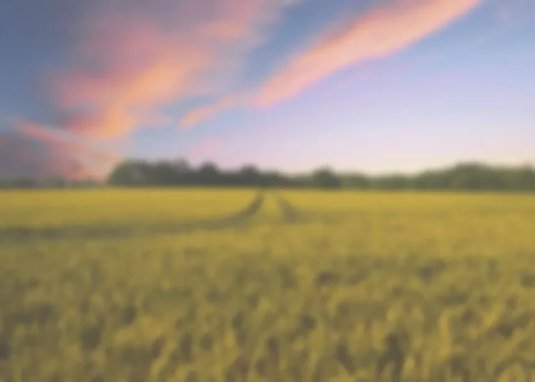 बहुराष्ट्रीय बियाणे कंपन्याच्या घश्यात घालण्याचे षडयंत्र