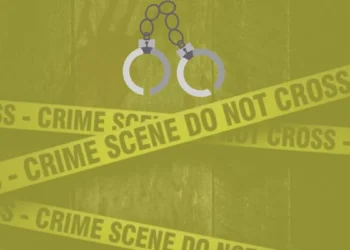 दिल्ली हत्याकांड फ्रीज टुकडे पतीची हत्या Delhi-Murder-Again-22-pieces-in-the-fridge_-the-wife-killed-the-husband ,crime news