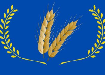 भरड धान्य Why are whole grains important?