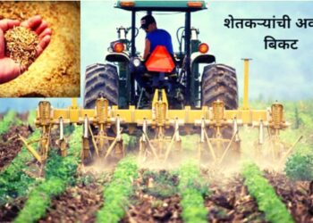 शेतकऱ्याचे उत्पन्न दुप्पट Doubling the farmer's income means farce