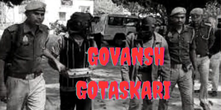 Govansh Gotaskari, two Yadavs arrested, three Guptas absconding गोवंश गोतस्करी दोन यादव अटक तीन गुप्ता फरार