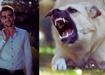 गुजरात दलित तरुण मारहाण Dalit youth beaten for wearing sunglasses and good clothes (प्रतिनिधिक फोटो)