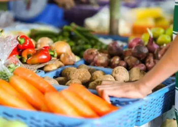 मियां मुस्लिम व्यापारी भाजीपाला महागाई ला जबाबदार भाजप मुख्यमंत्री हेमंता बिस्वा सरमा Miya Muslim traders responsible for vegetable inflation - Assam Chief Minister Himanta Biswa Sharma