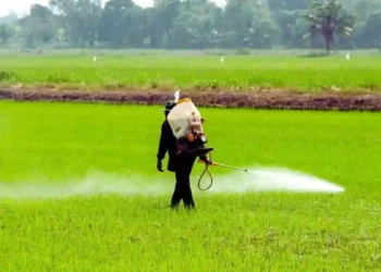 Pesticides ban Centre's reluctance to ban pesticides