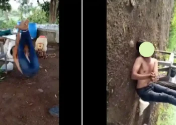 कबुतर चोरी चा आरोप हरेगाव दलित तरुणांना उलटे बांधून बेदाम मारहाण Haregaon Dalit Youth Assaulted for Alleged Pigeon Theft