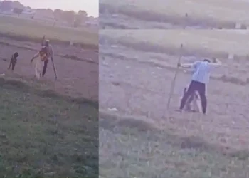 शेतातून शेळी गेली म्हणून एका 60 वर्षीय दलित महिलेला जातिवाचक शिवीगाळ करत बेदम मारहाण 60-Year-Old Dalit Woman Attacked with Caste-Based Abuse Over Stray Goat in Uttar Pradesh