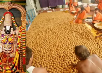 तिरुपती मंदिर प्रसाद: तिरुपती मंदिराच्या प्रसादात जनावरांच्या चरबीचा वापर; लॅब रिपोर्ट Tirupati Temple Prasad Animal Fat Found in Prasad, Lab Report Reveals