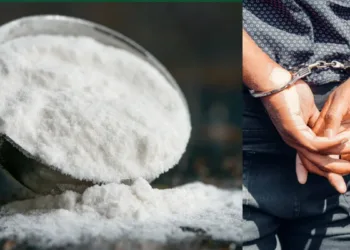 दिल्ली मध्ये 2 हजार कोटींची कोकेन जप्त,आतापर्यंत एकूण 7600 कोटींच्या ड्रग्जची जप्ती 2,000 Crore Worth Cocaine Seized in Delhi, Total Drug Seizures Reach 7,600 Crore