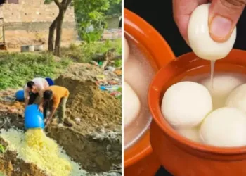 500 किलो 'विषारी' रसगुल्ले नष्ट केले, दिवाळीच्या डब्यात होता कॅन्सर पसरवण्याचा धोका, अशा प्रकारे करा बनावट मिठाई ची तपासणी 500 kg of 'poisonous' rasgullas destroyed, Diwali box had cancer risk, this is how to check fake sweets