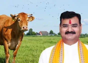 संजय सिंह गंगवार UP Minister Sanjay Singh Gangwar Claims Petting Cows Lowers Blood Pressure and Lying in Gaushala Cures Cancer