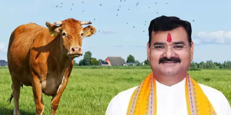 संजय सिंह गंगवार UP Minister Sanjay Singh Gangwar Claims Petting Cows Lowers Blood Pressure and Lying in Gaushala Cures Cancer