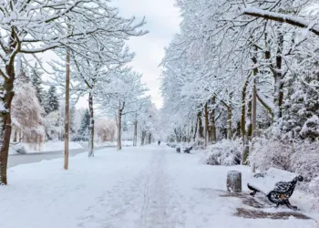 जॉर्जिया तील हॉटेलमध्ये 12 भारतीय नागरिकांचा मृत्यू 12 indian-nationals-dead-in-georgia-hotel-investigation-underway